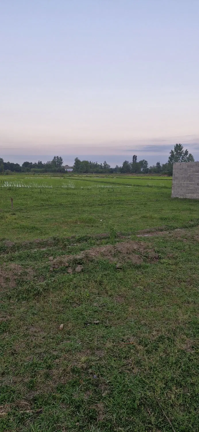 تصویر املاک 67474