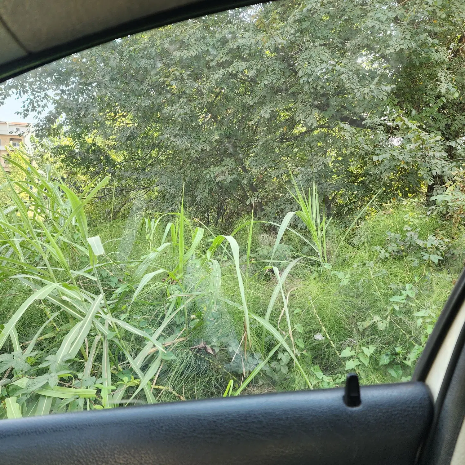 تصویر املاک 133516