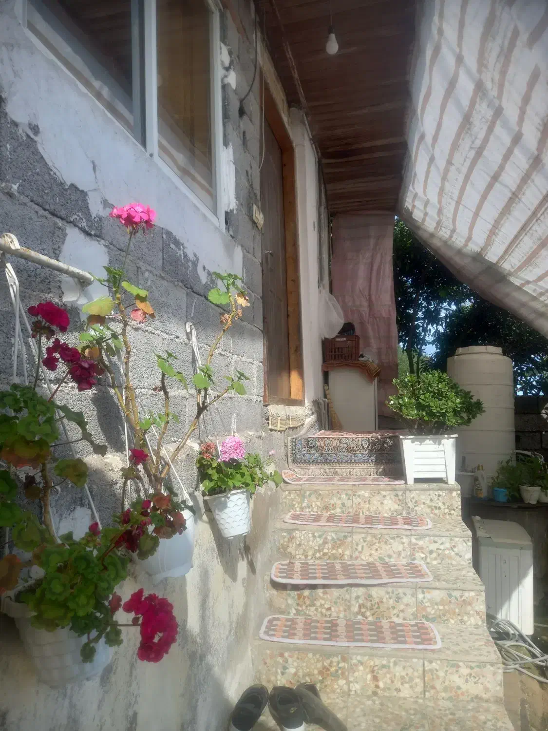 تصویر املاک 36191