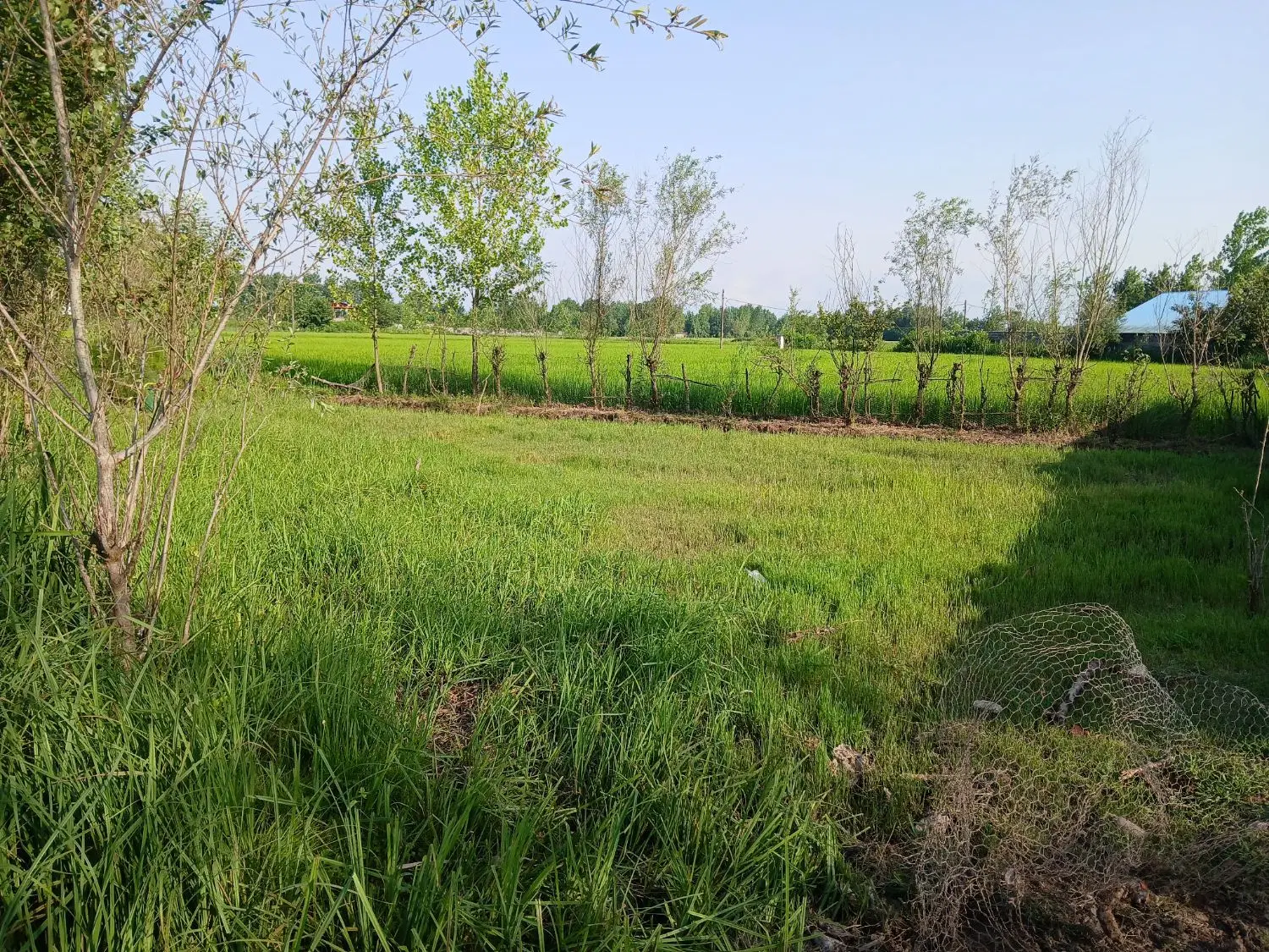 تصویر املاک 112382