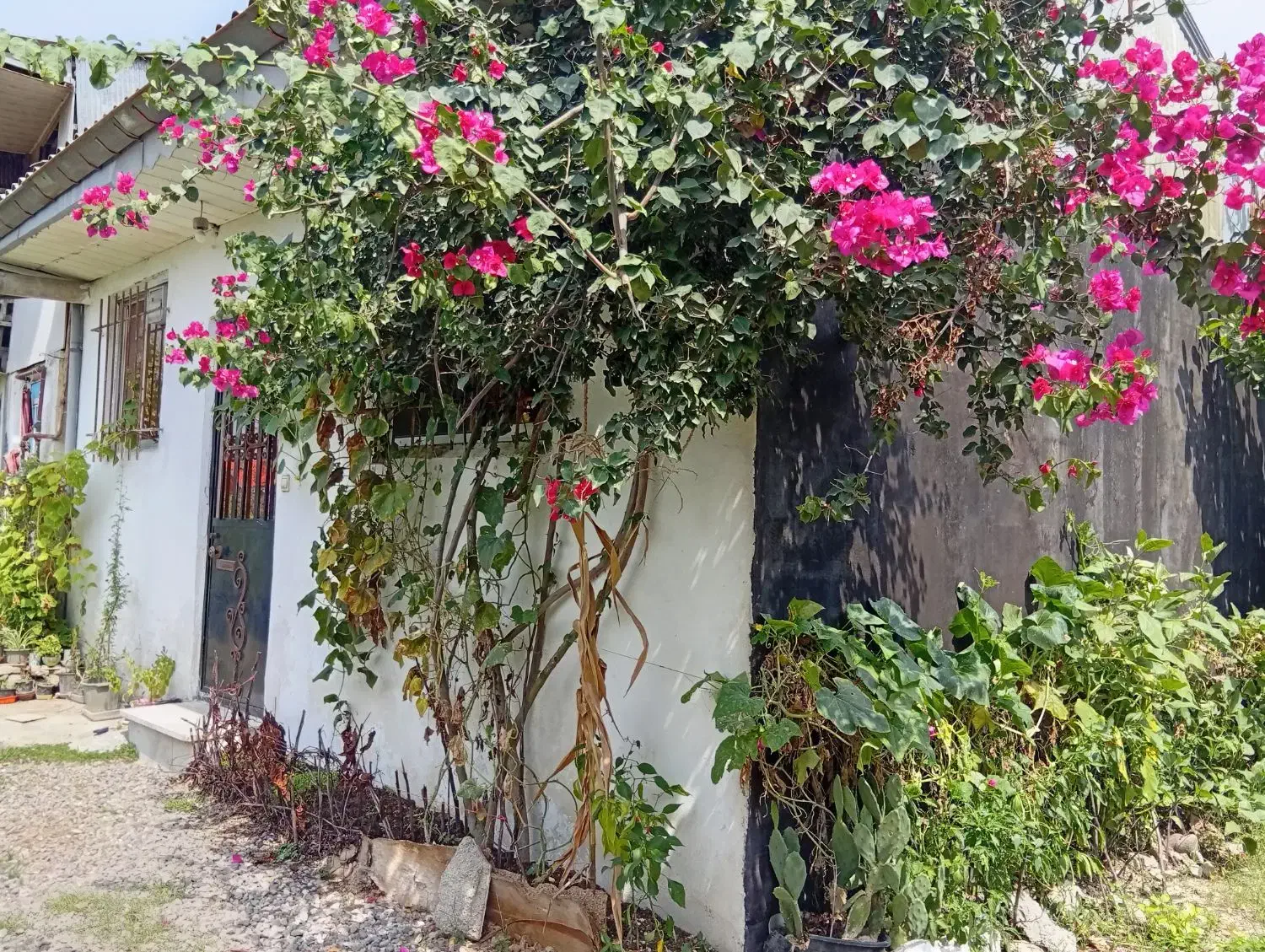 تصویر املاک 4810