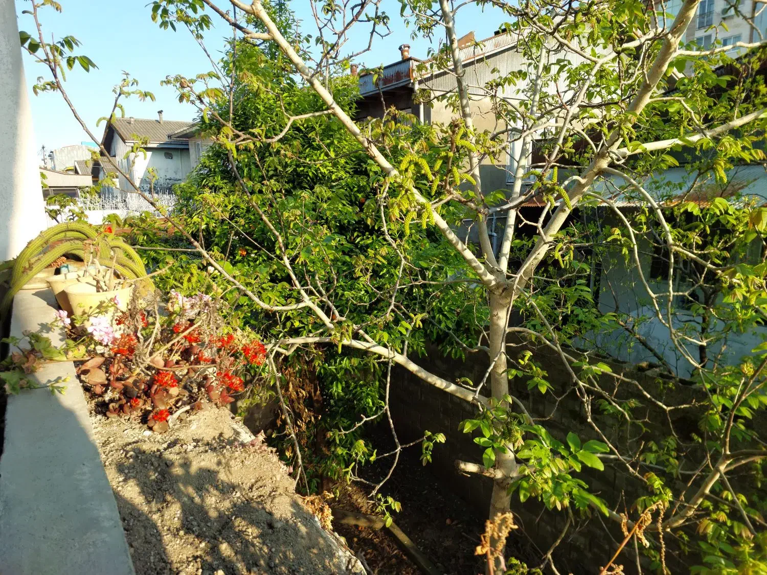 تصویر املاک 35663