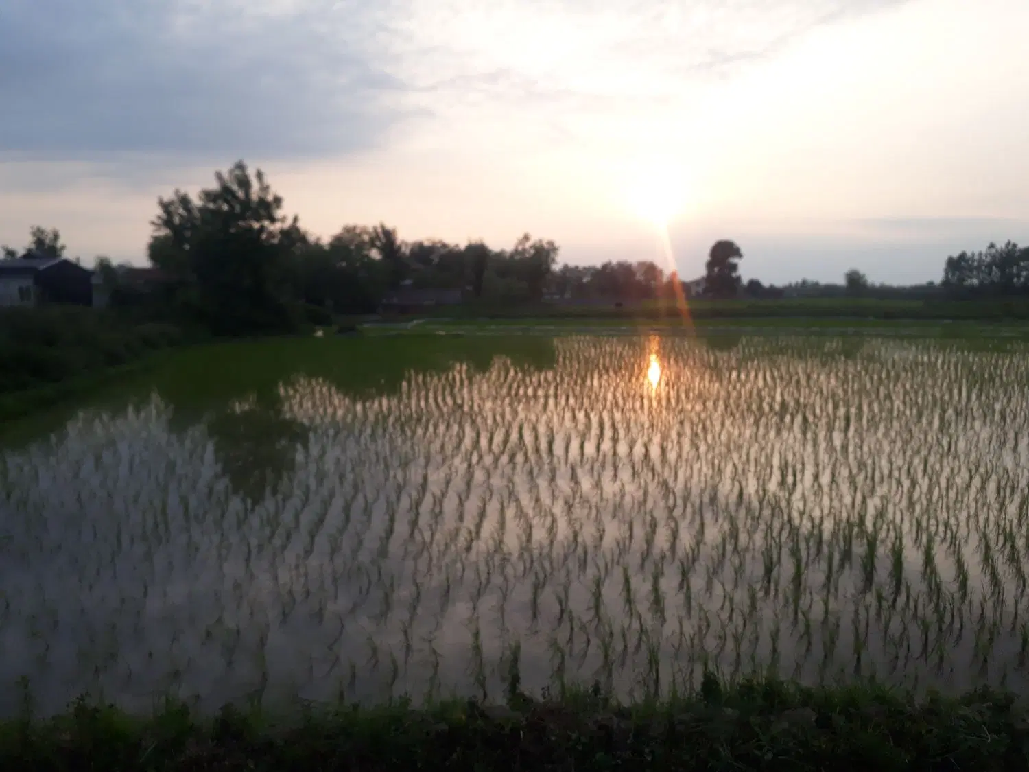 تصویر املاک 89277