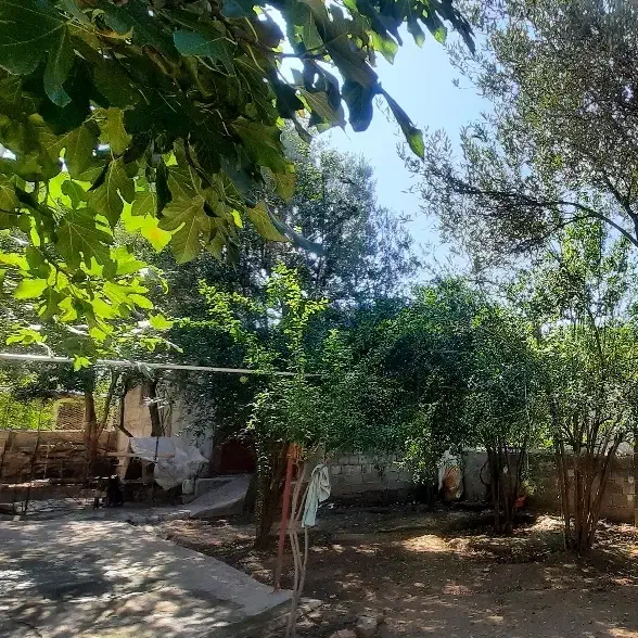 تصویر املاک 8749