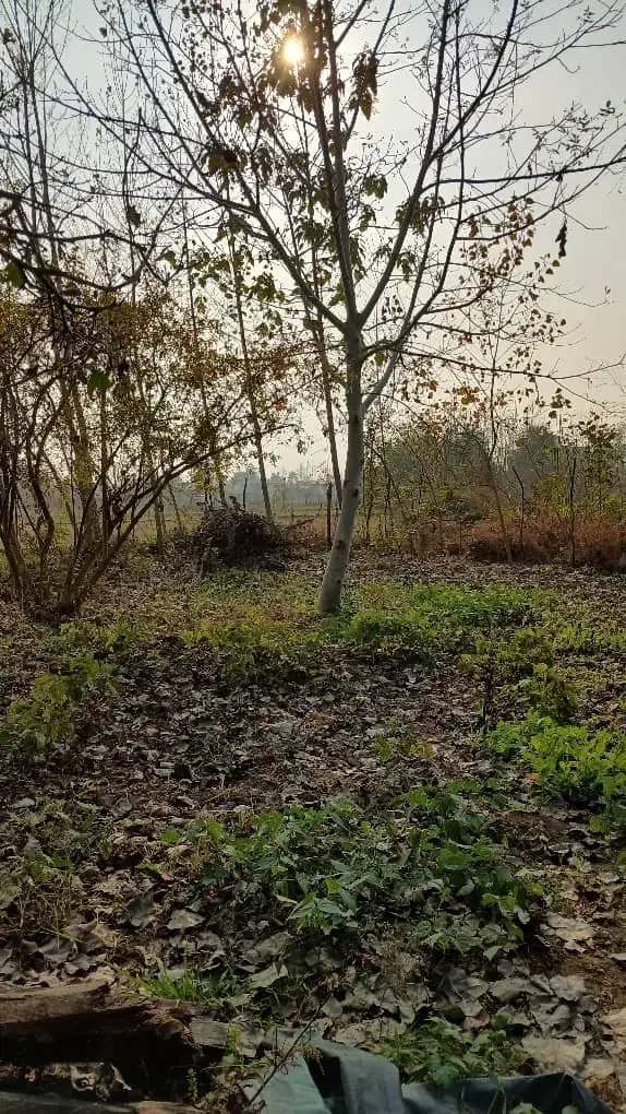 تصویر املاک 36031