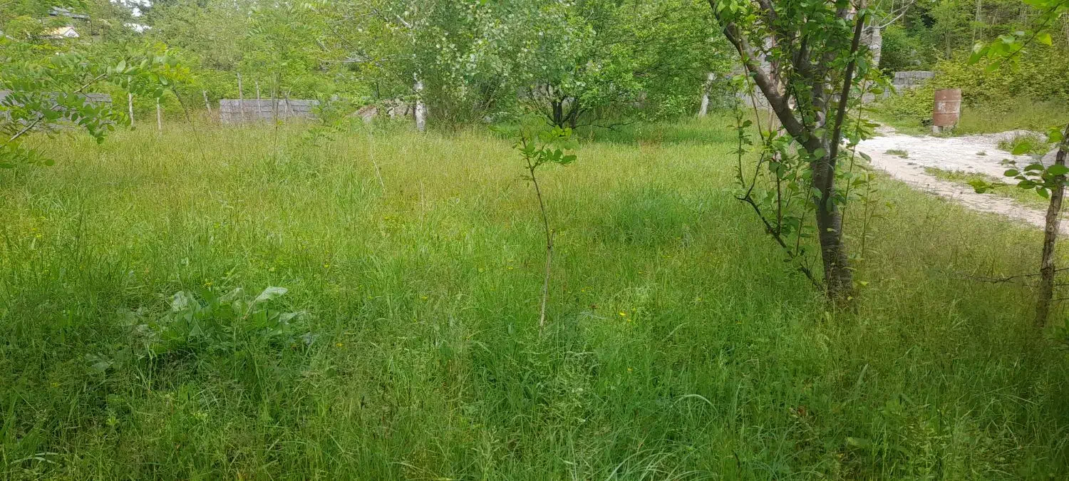 تصویر املاک 36123