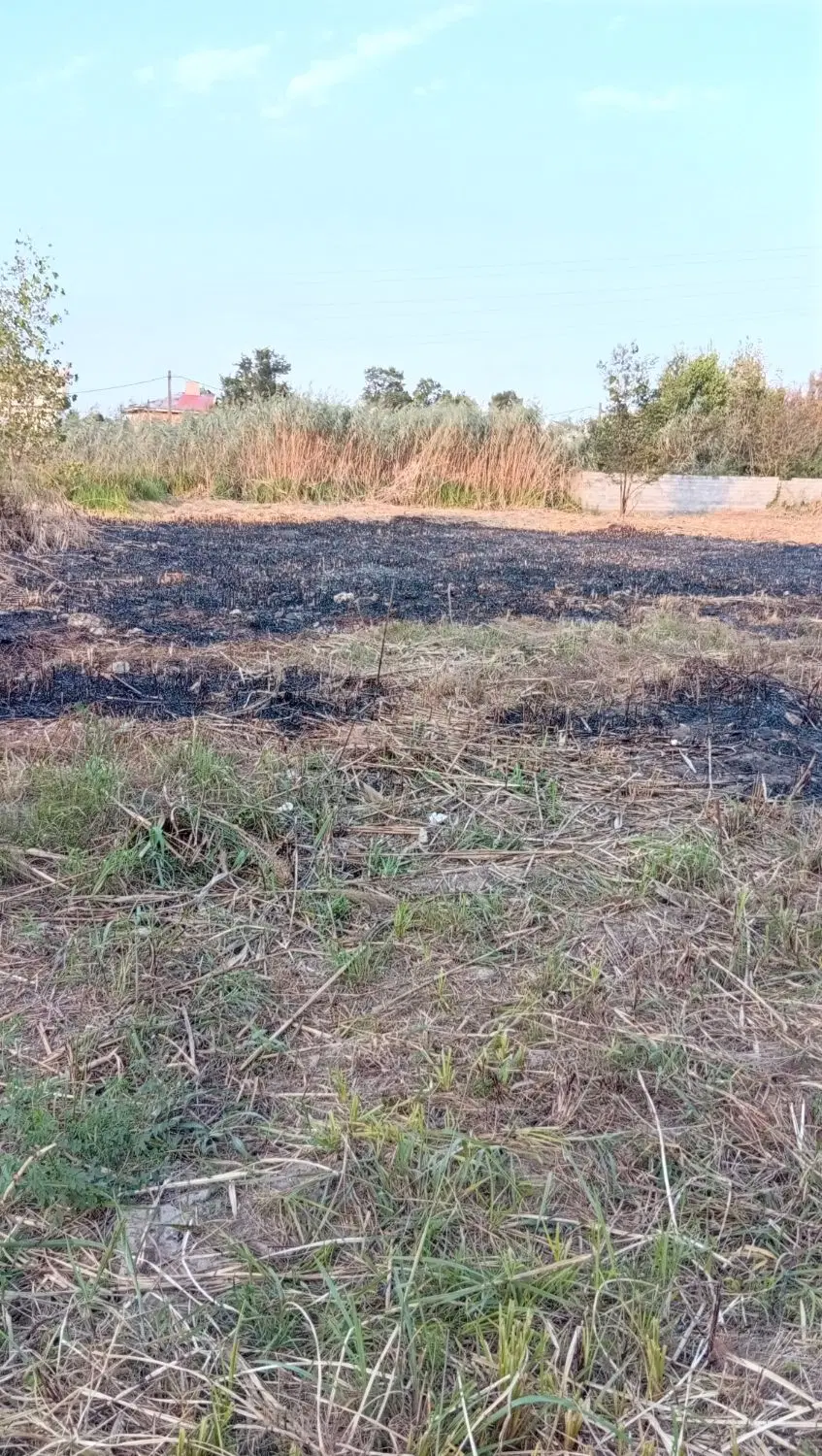 تصویر املاک 116672