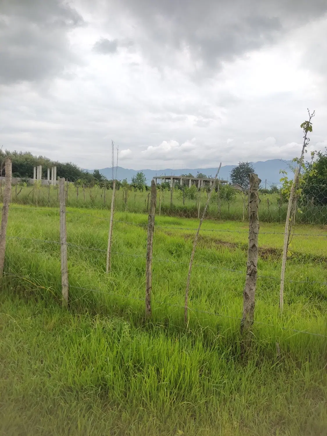 تصویر املاک 125522