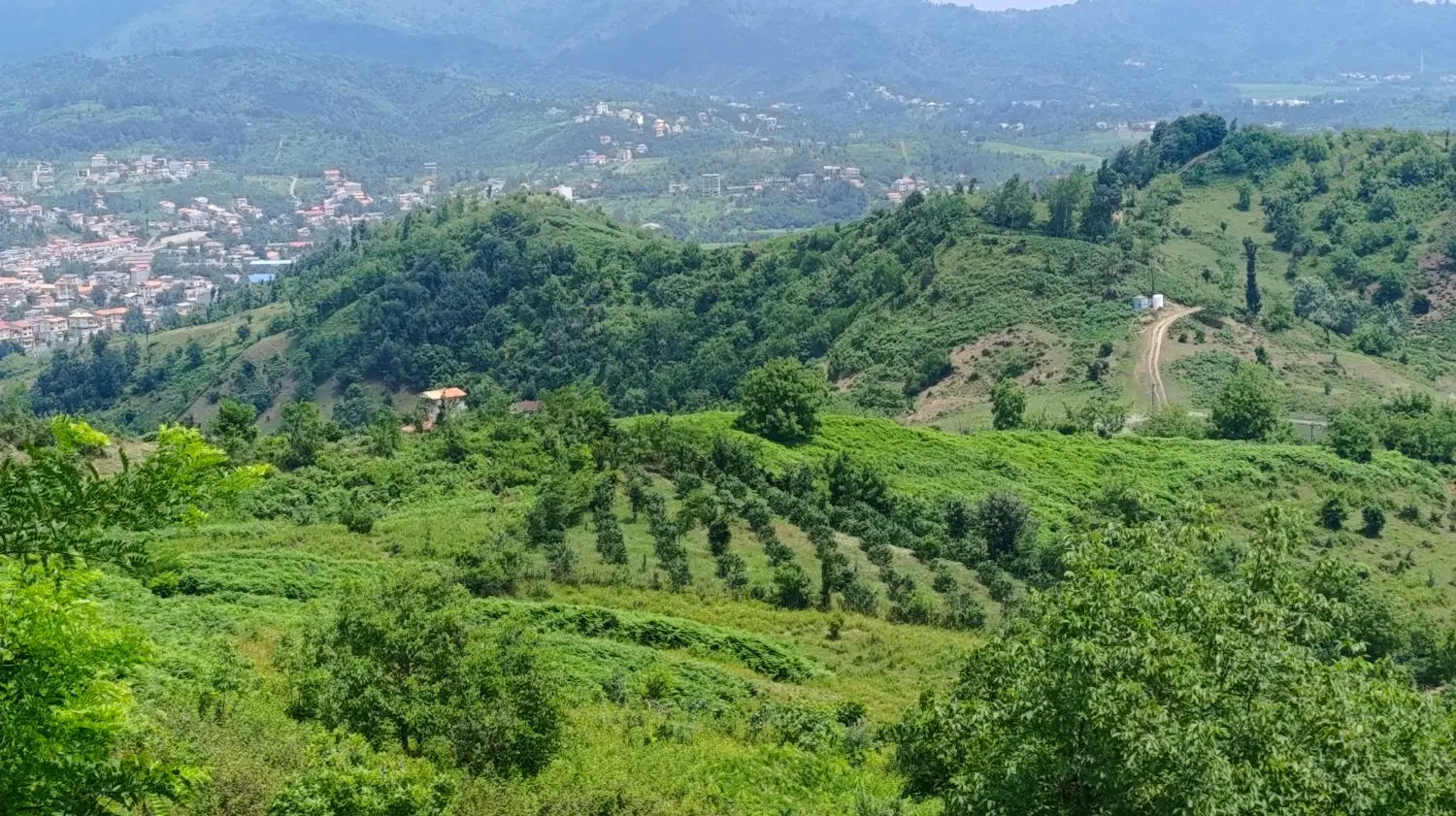 تصویر املاک 110383