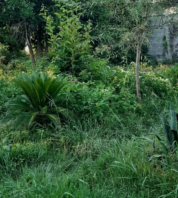 تصویر املاک 67305