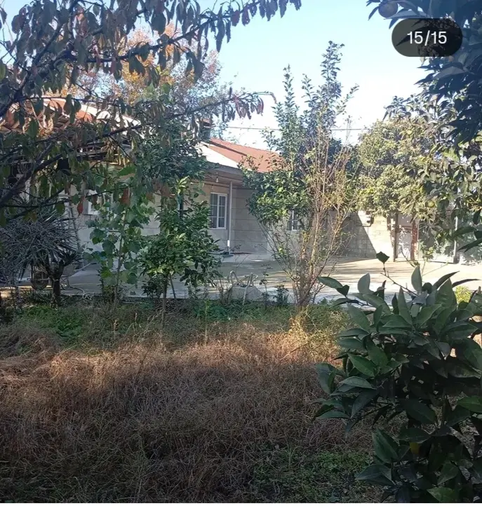 تصویر املاک 65922
