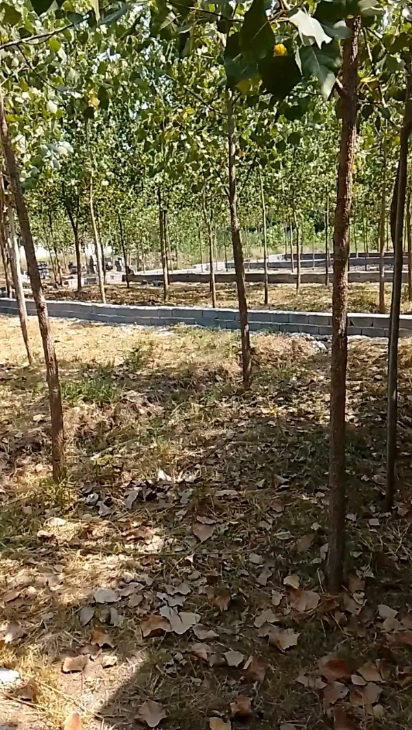 تصویر املاک 109744