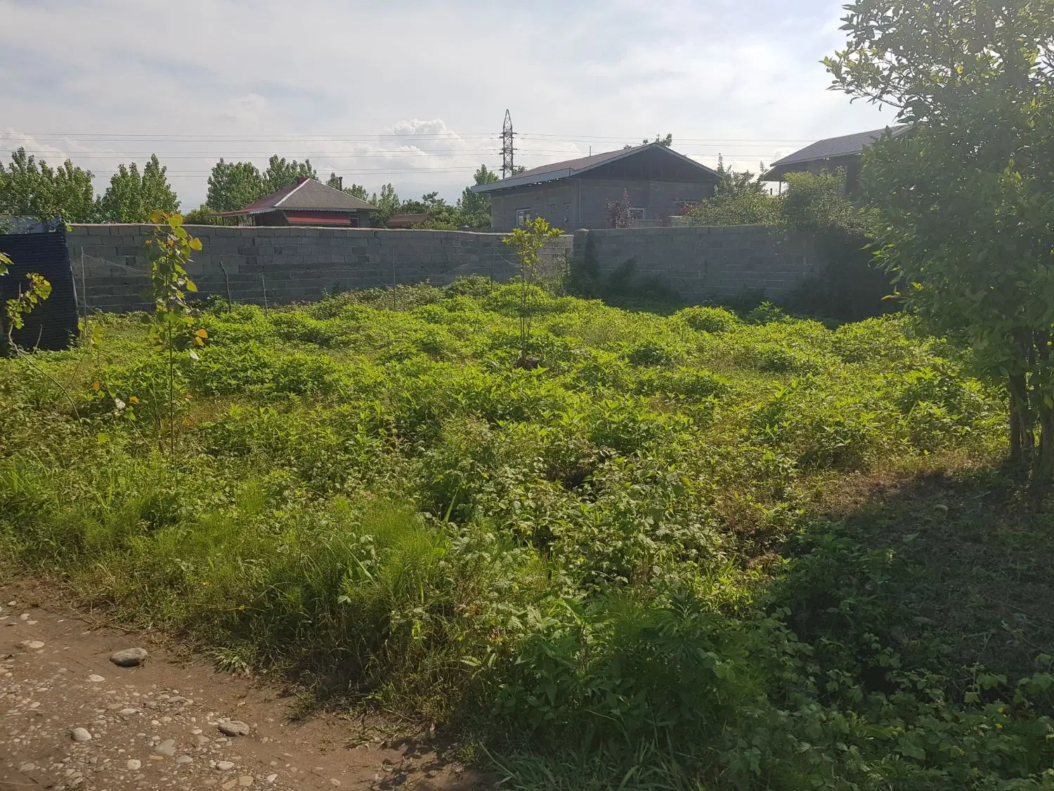 تصویر املاک 68850
