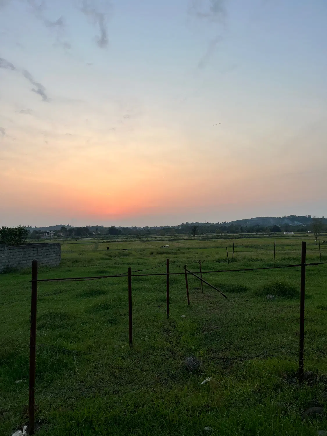 تصویر املاک 109385