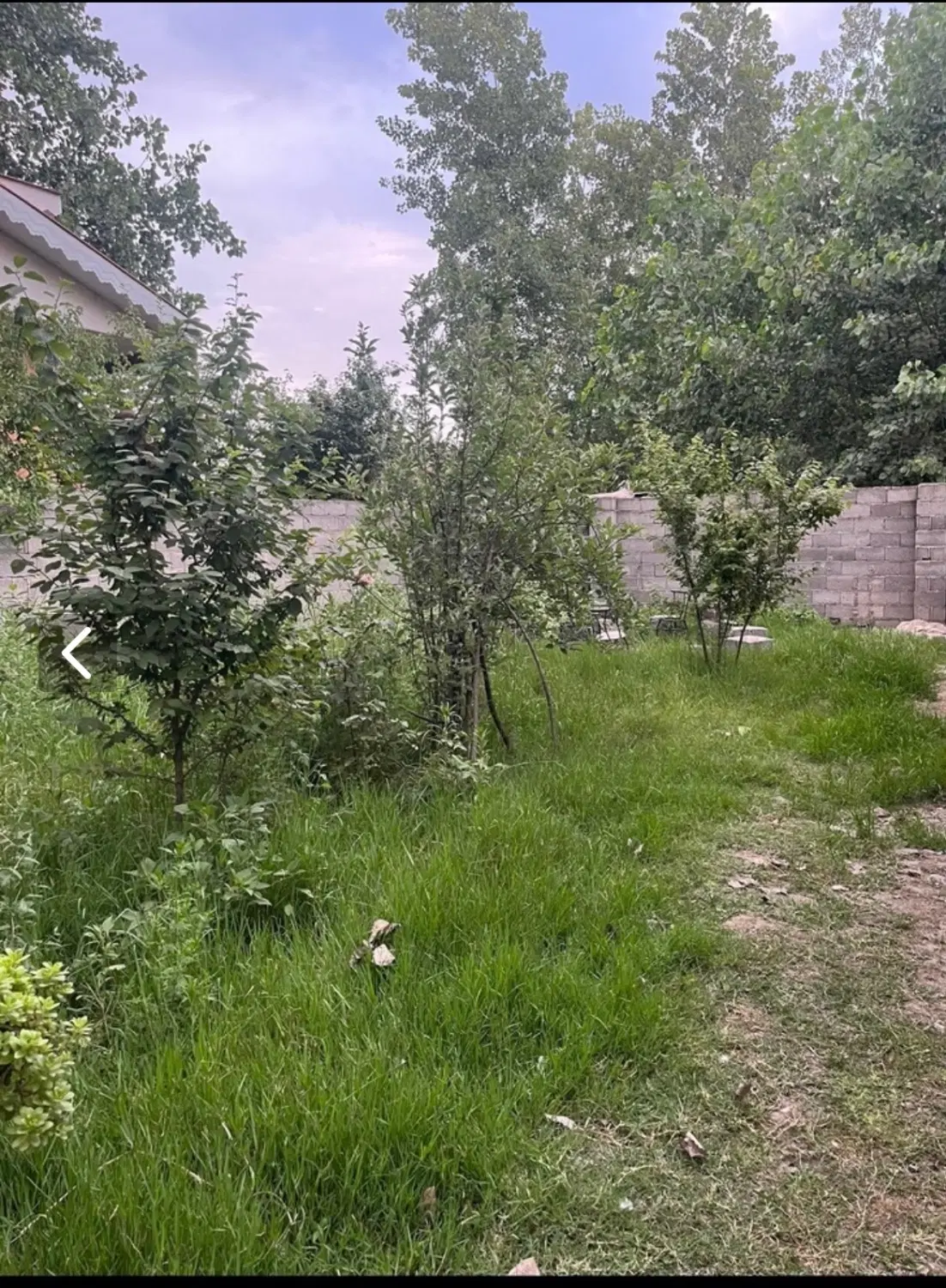 تصویر املاک 65852