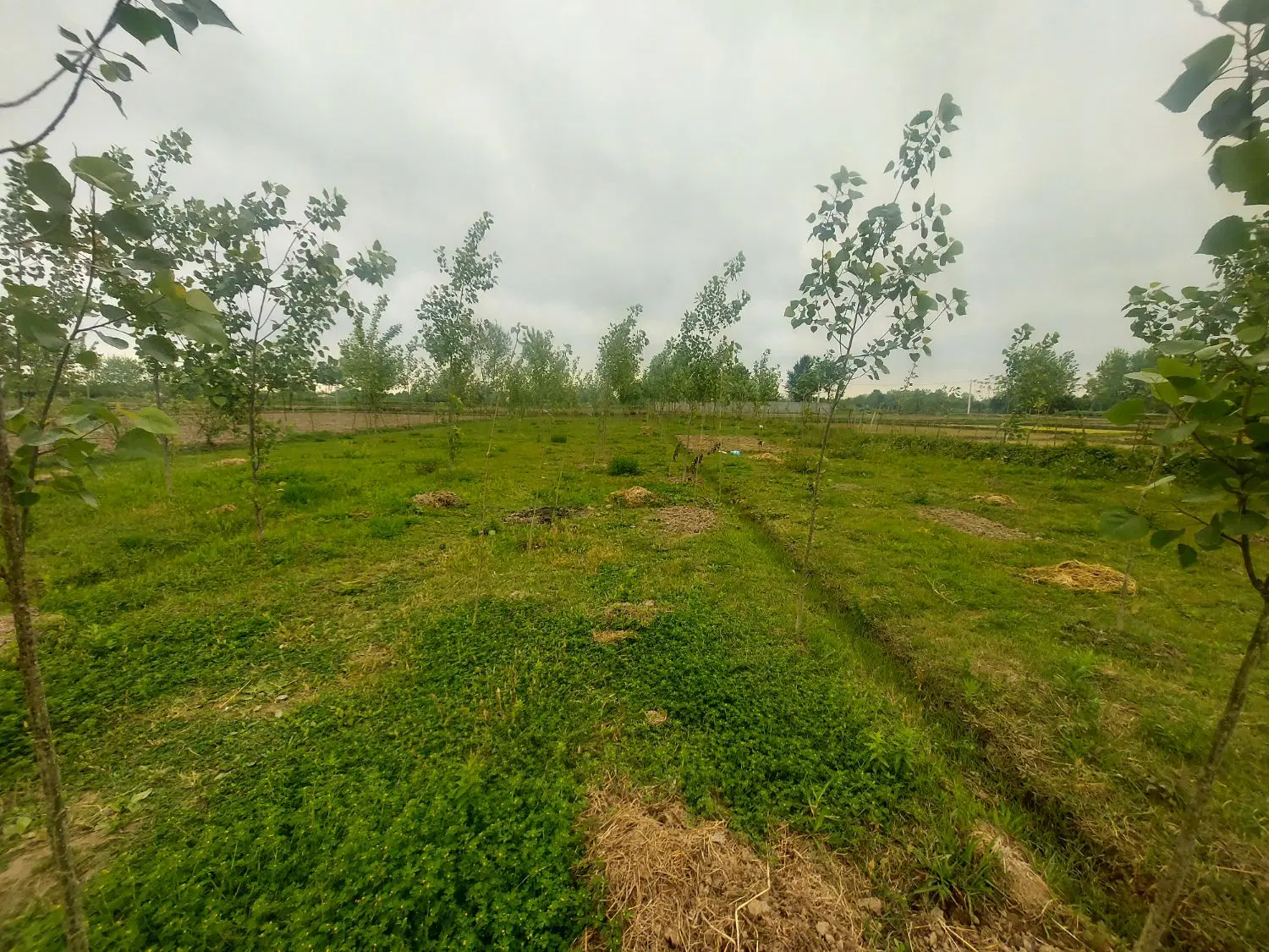 تصویر املاک 76437