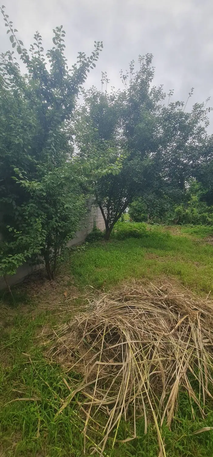 تصویر املاک 63243