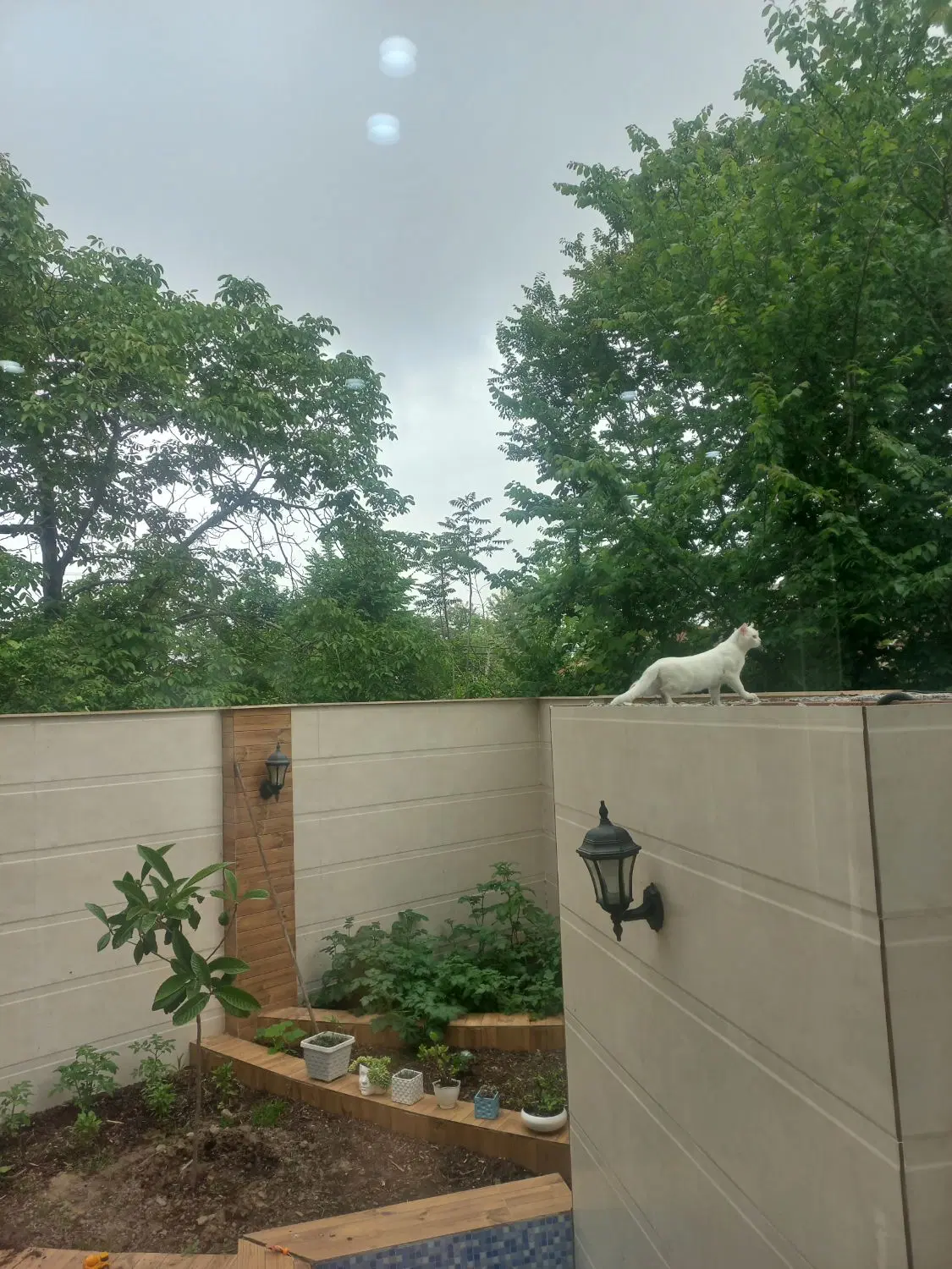 تصویر املاک 82587