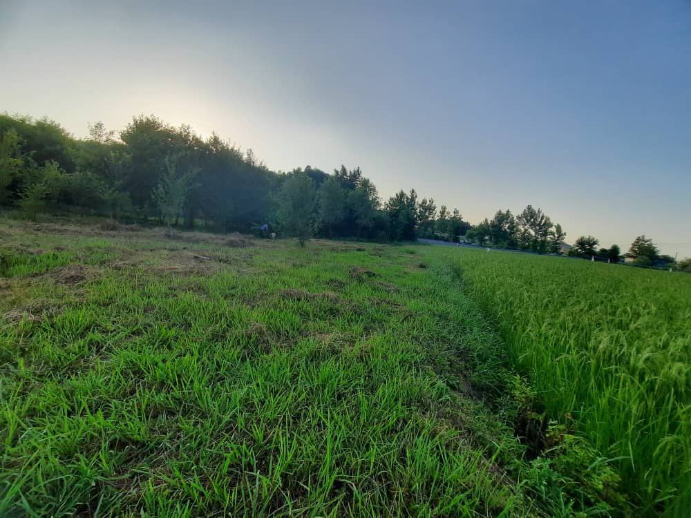 تصویر املاک 1755