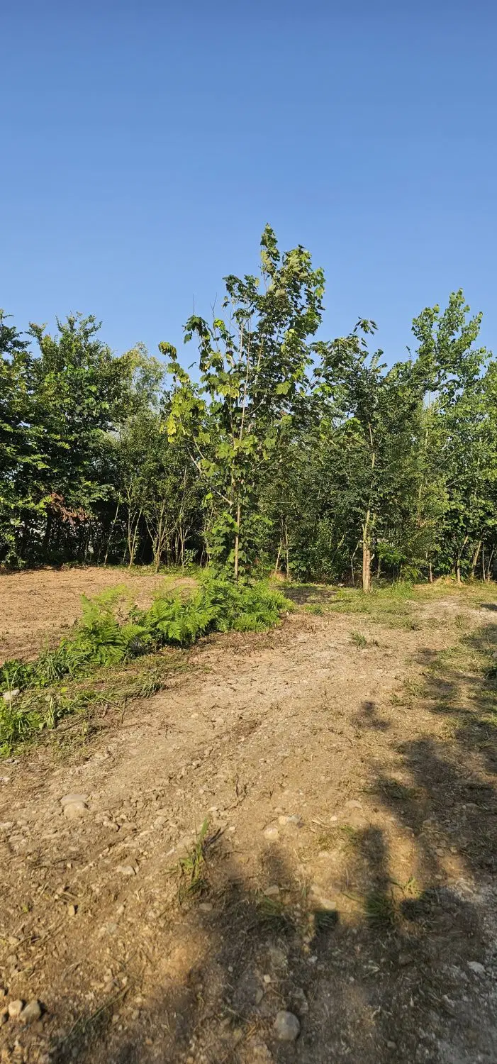 تصویر املاک 56015