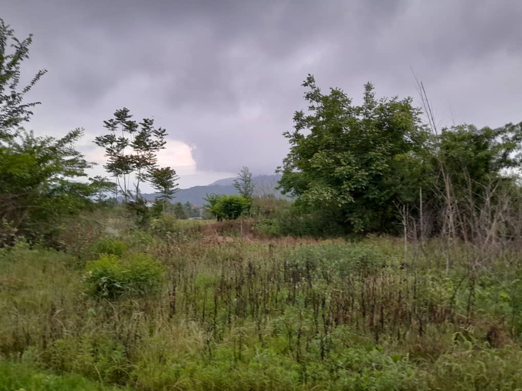تصویر املاک 1805