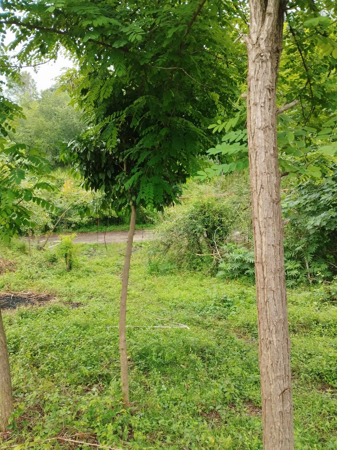 تصویر املاک 57031