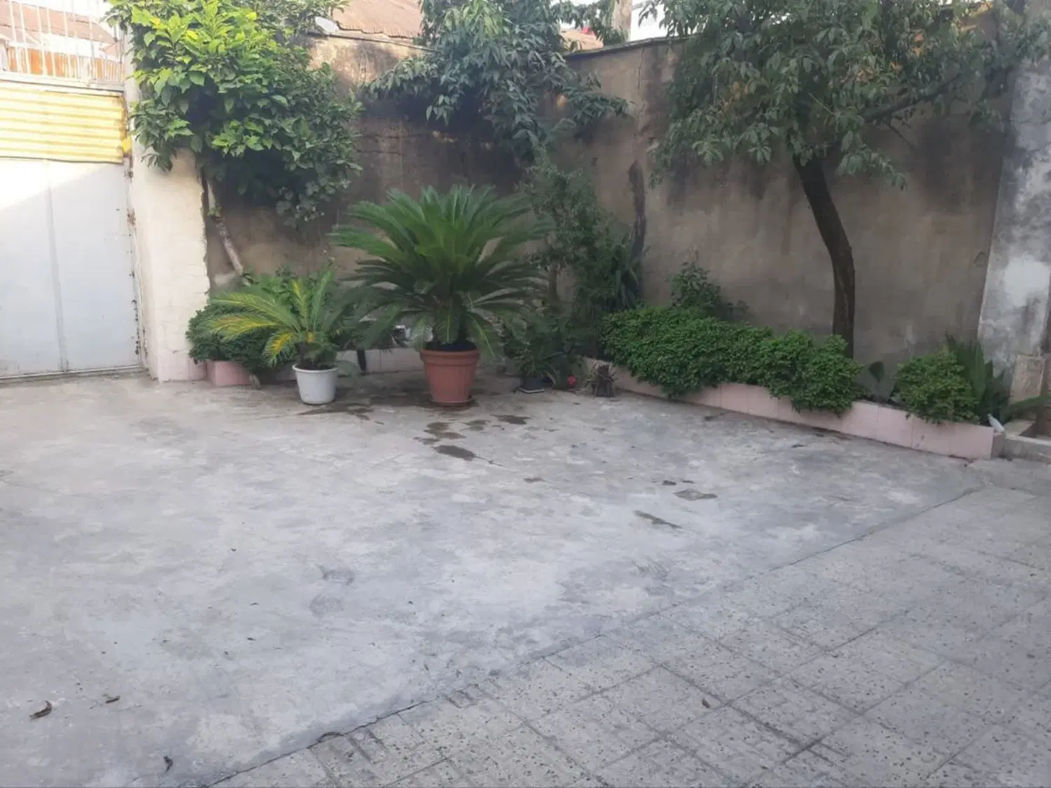 تصویر املاک 53486
