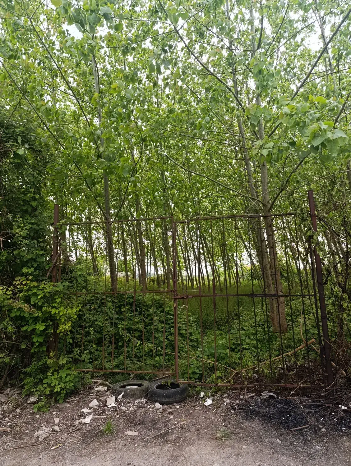 تصویر املاک 35832