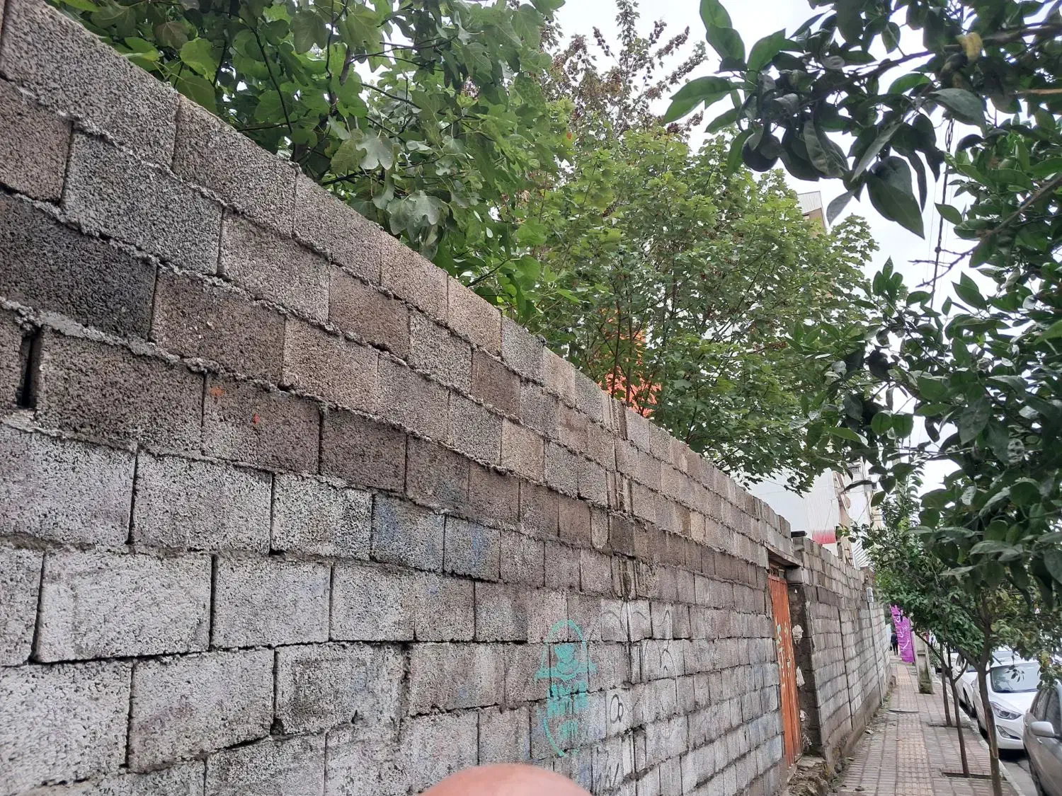 تصویر املاک 45899
