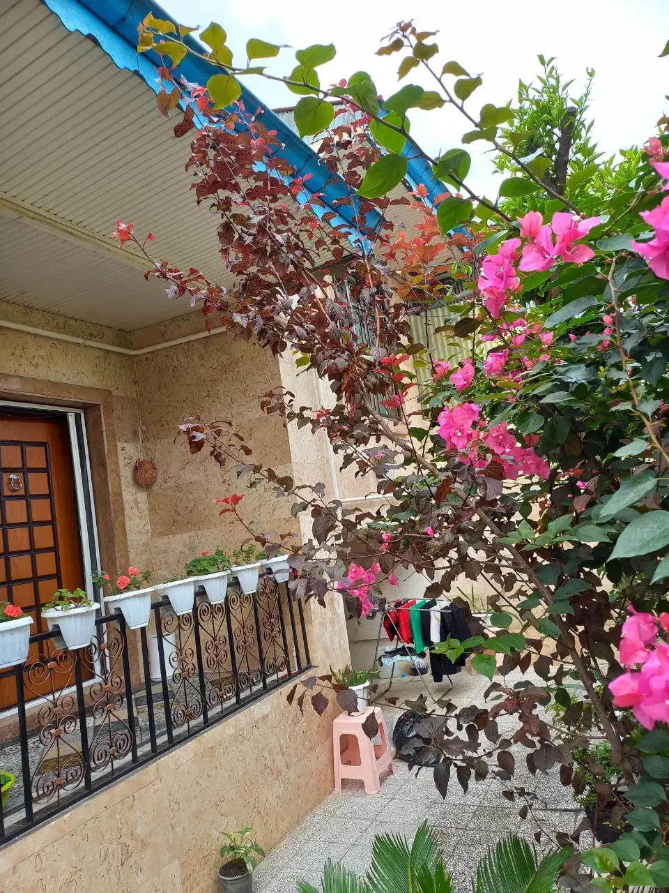تصویر املاک 28304