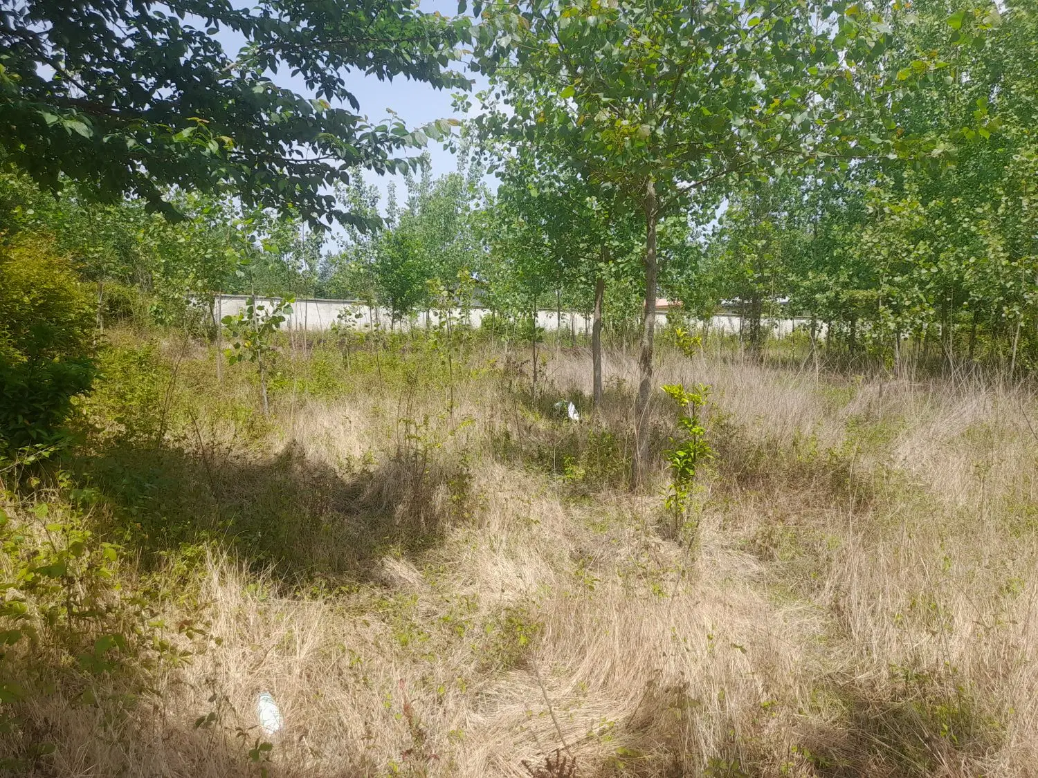 تصویر املاک 44011