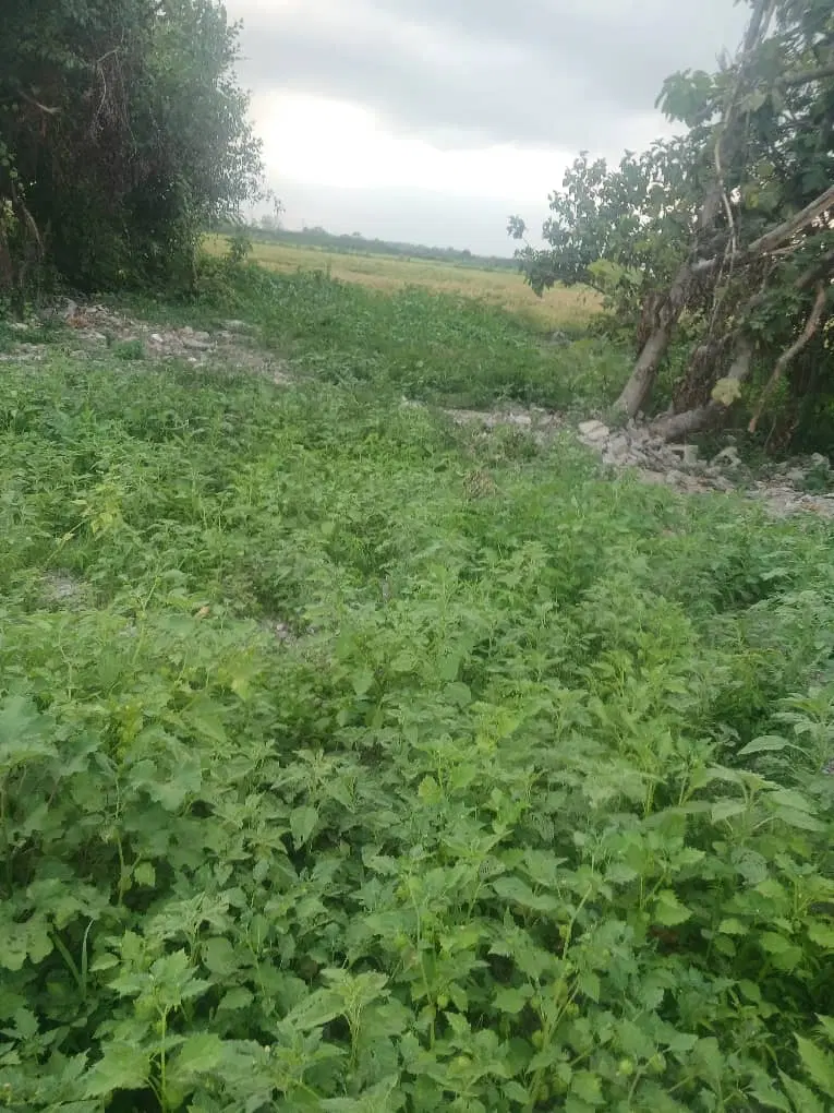 تصویر املاک 121537