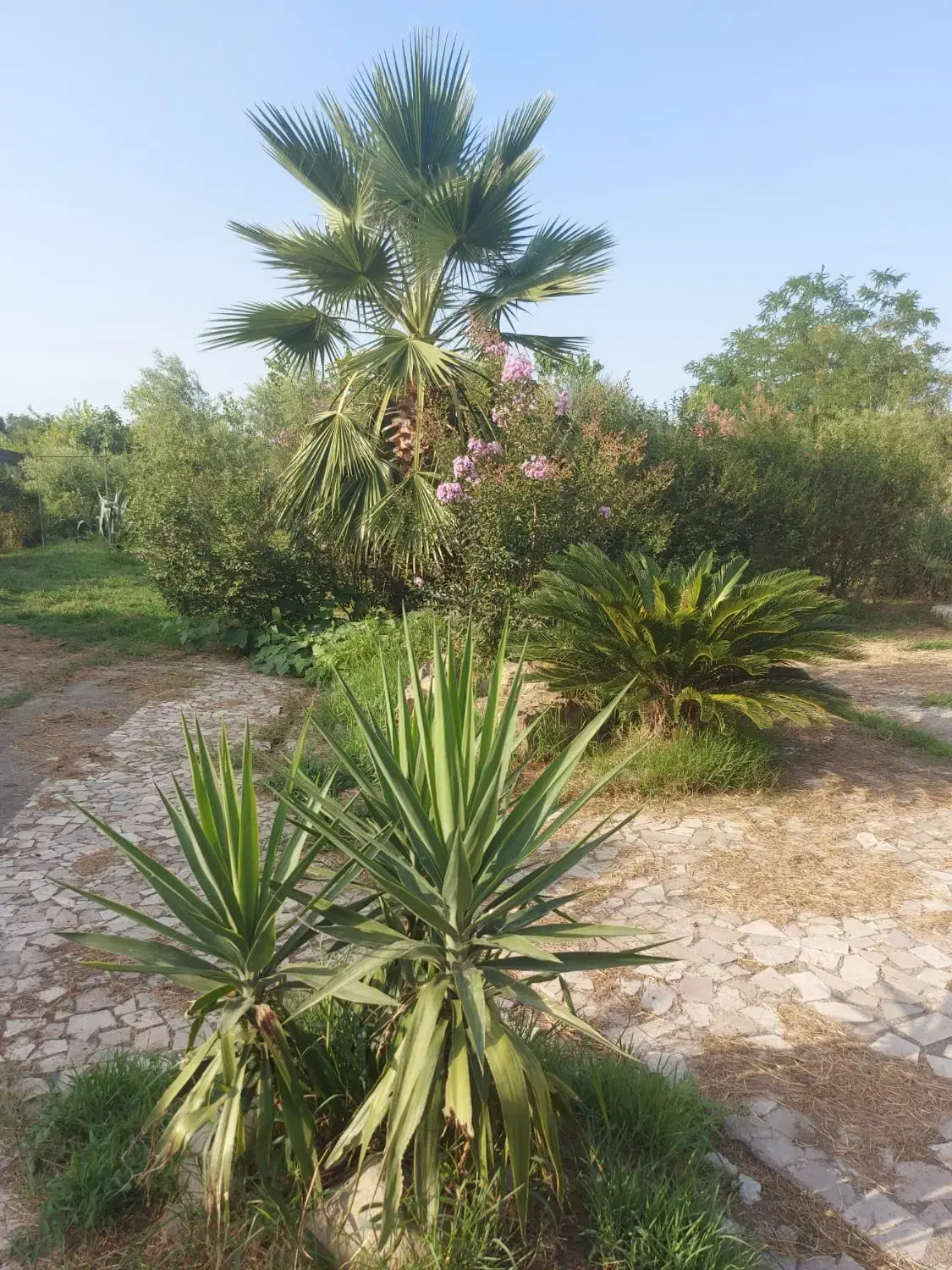 تصویر املاک 55804