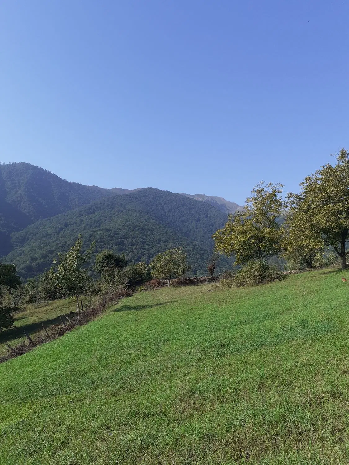 تصویر املاک 106610