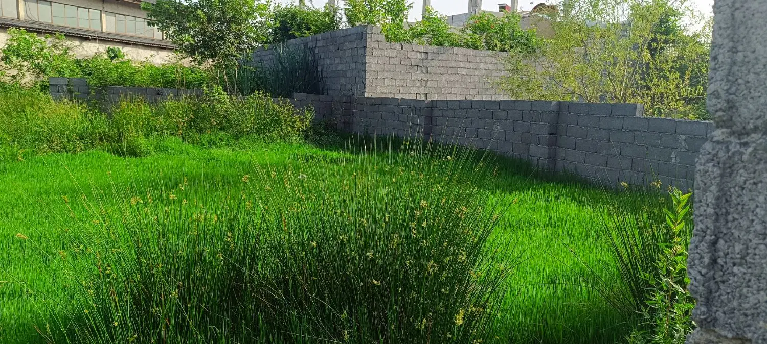 تصویر املاک 89030