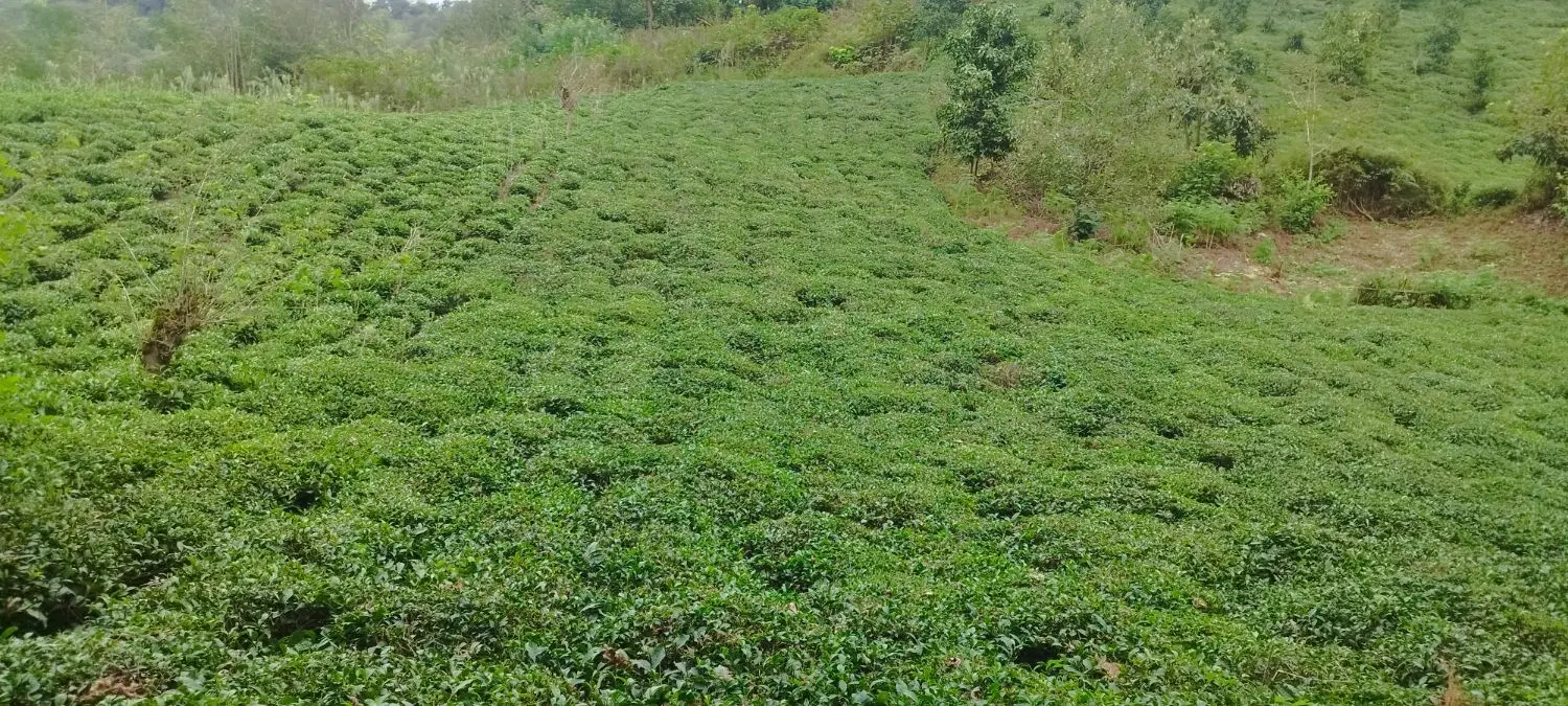 تصویر املاک 124192