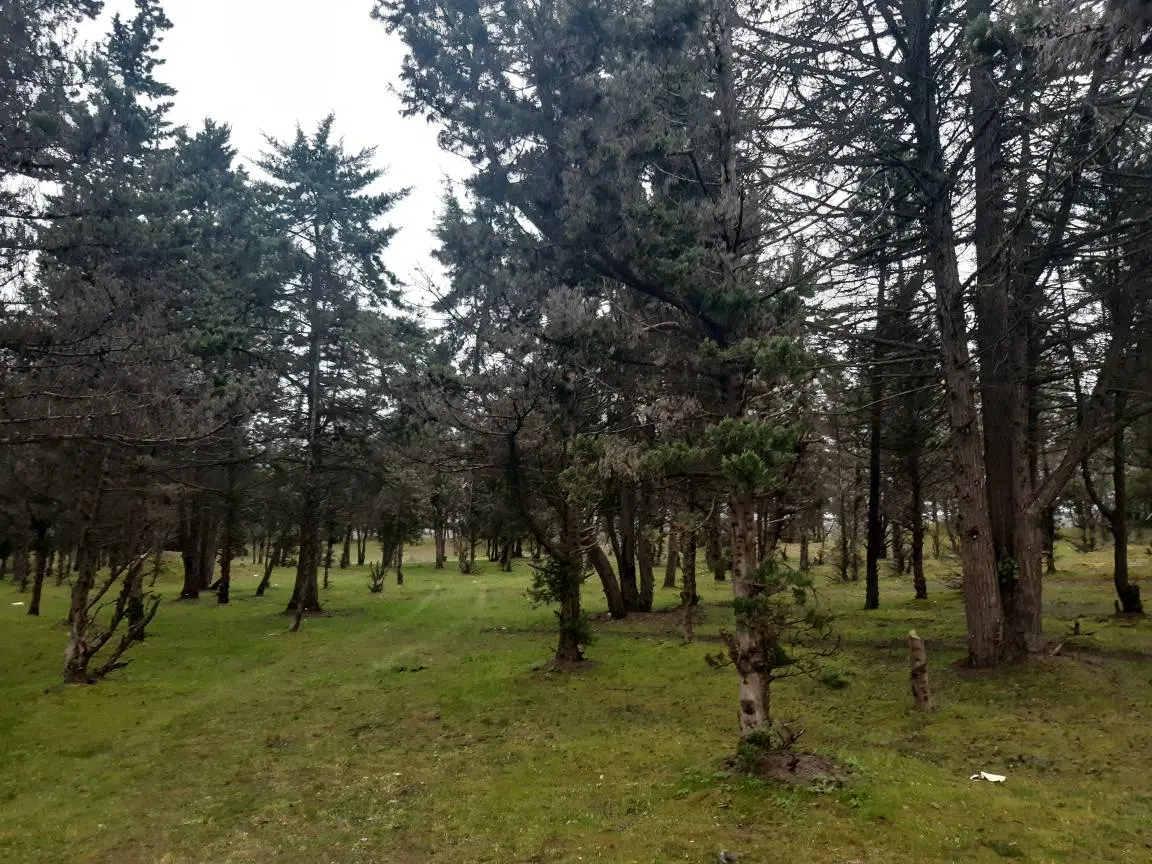 تصویر املاک 45286