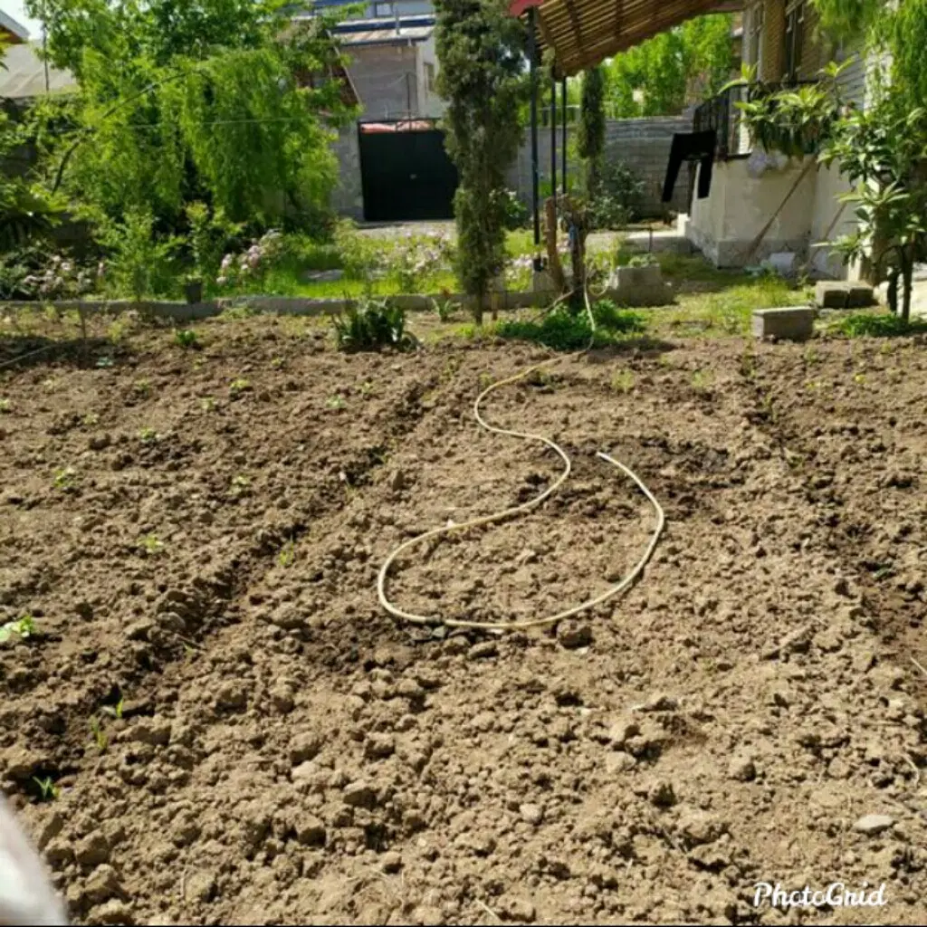 تصویر املاک 55466