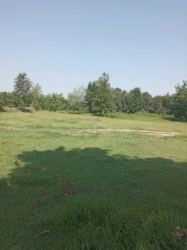 تصویر املاک 58169
