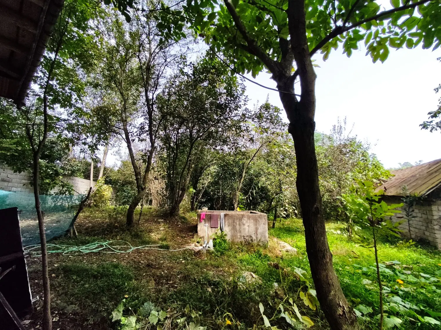 تصویر املاک 116849