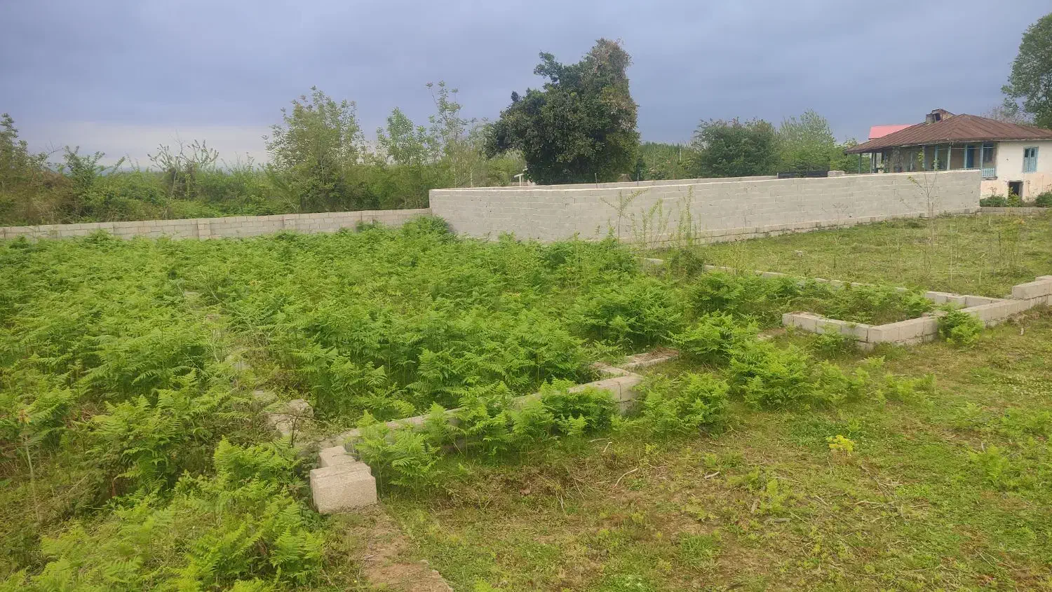 تصویر املاک 36537