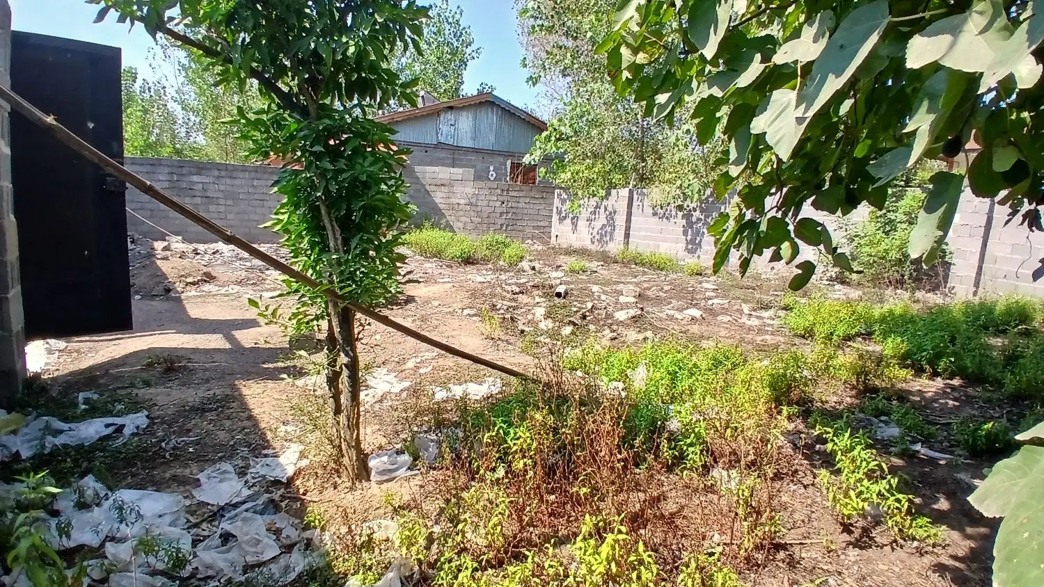 تصویر املاک 44776