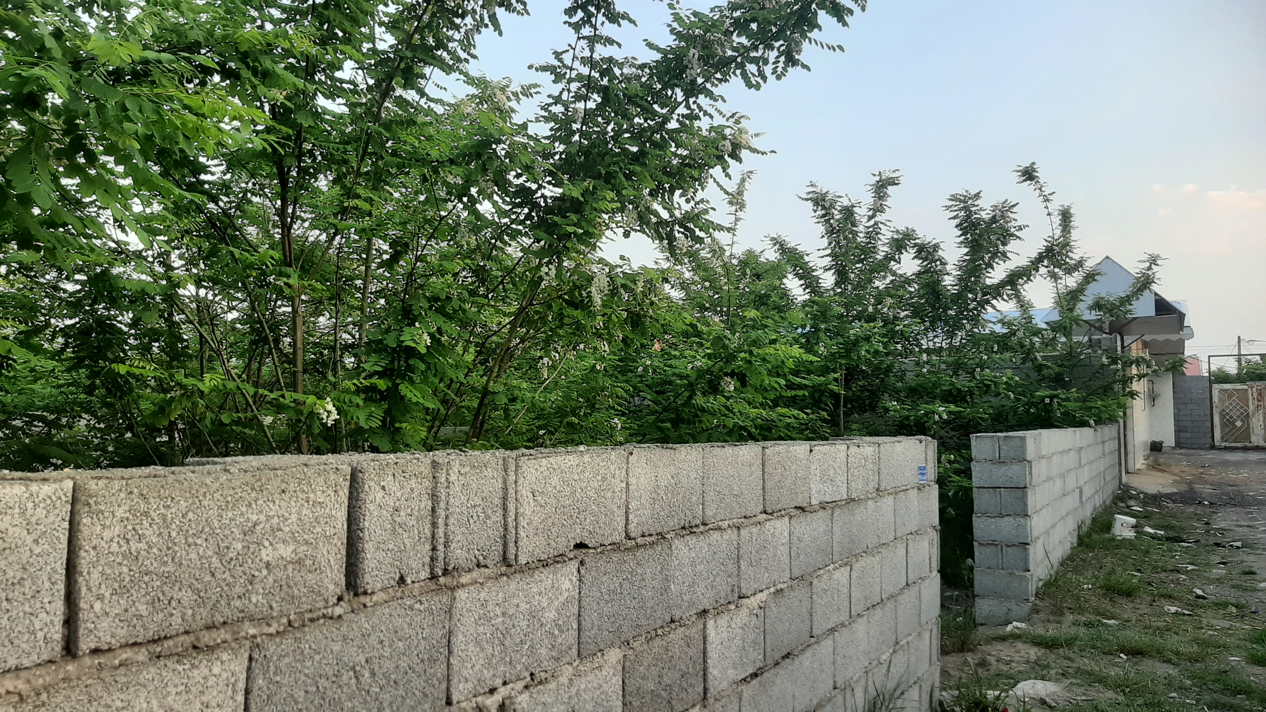 تصویر املاک 41950