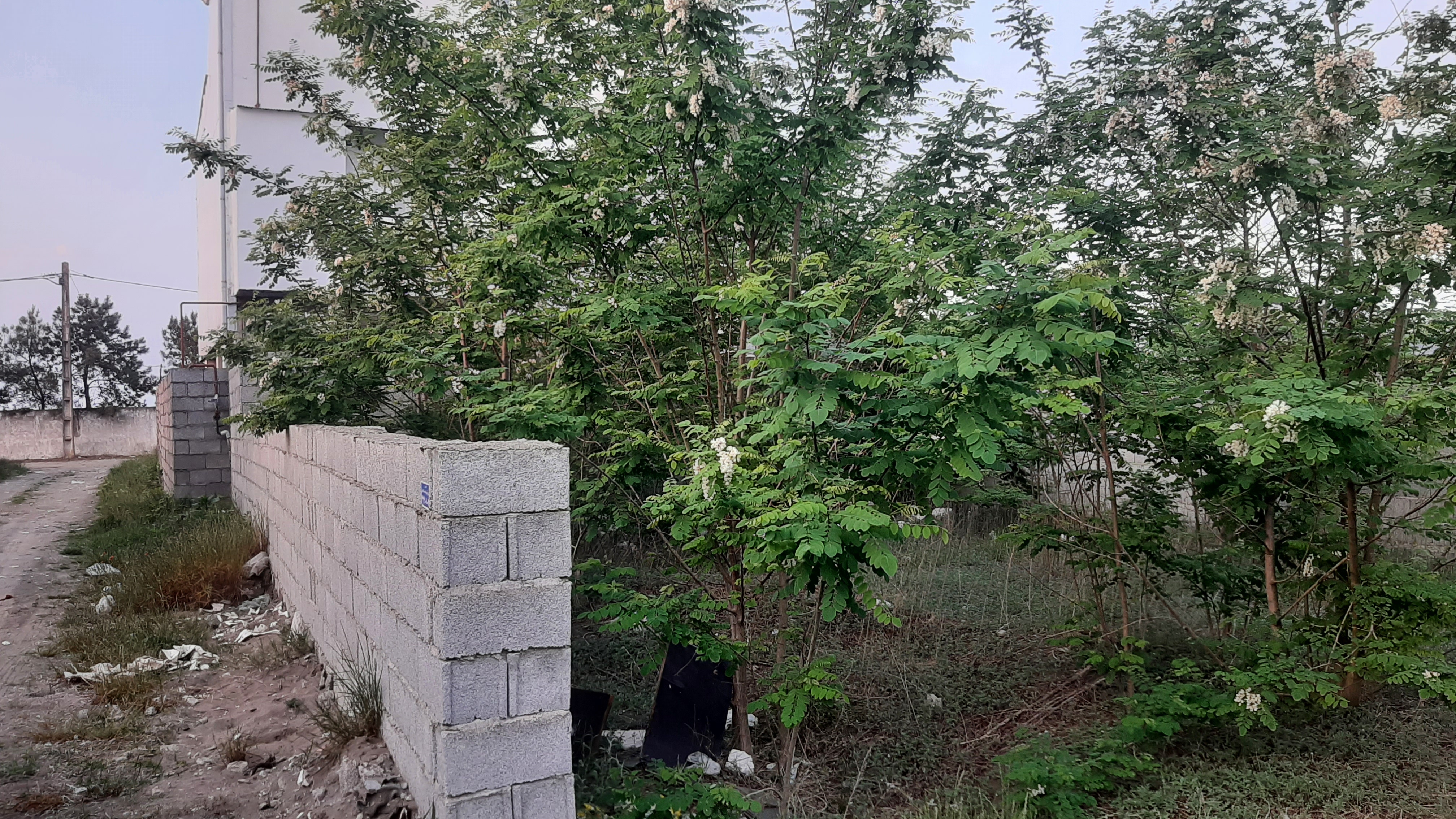 تصویر املاک 41949