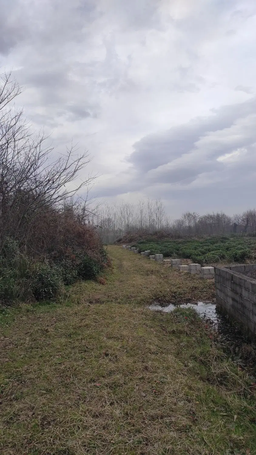 تصویر املاک 109578