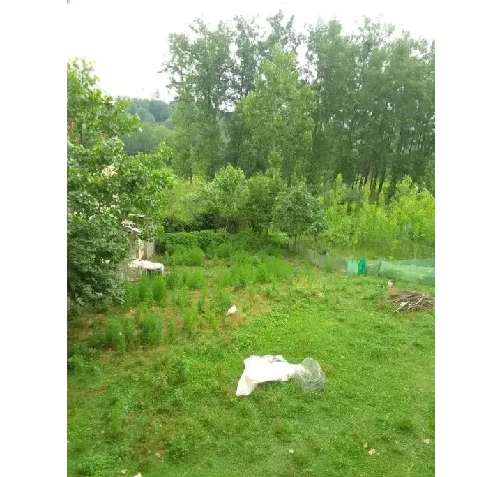 تصویر املاک 114919