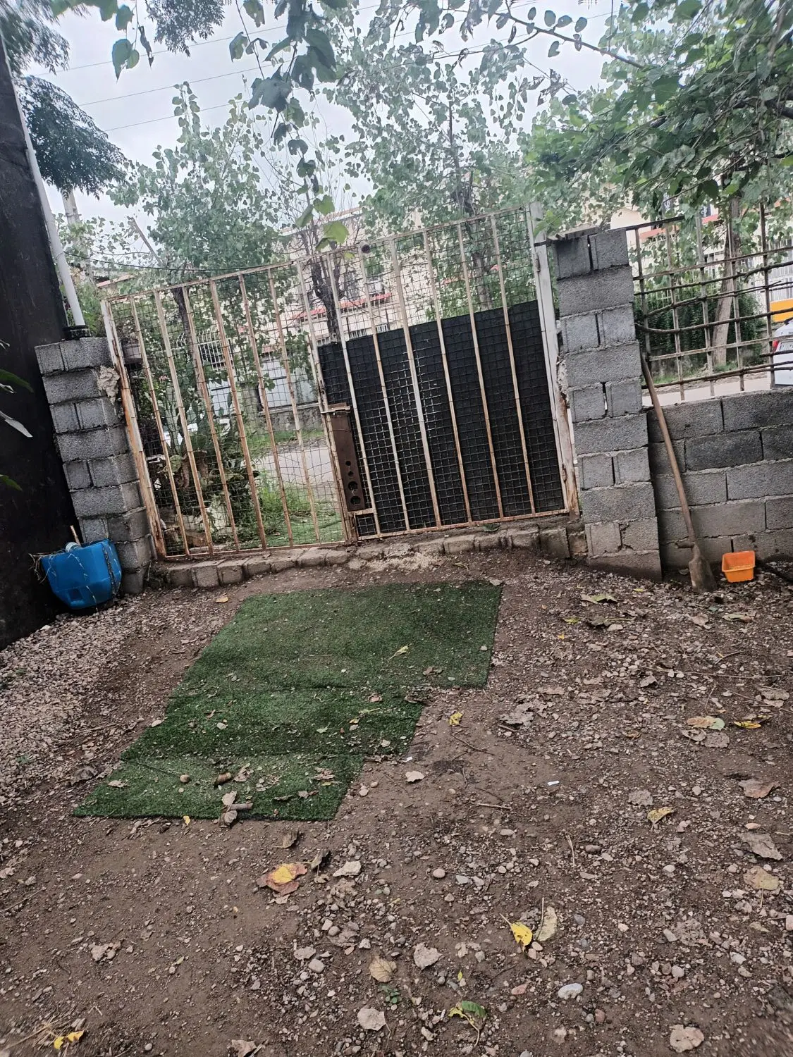 تصویر املاک 136986