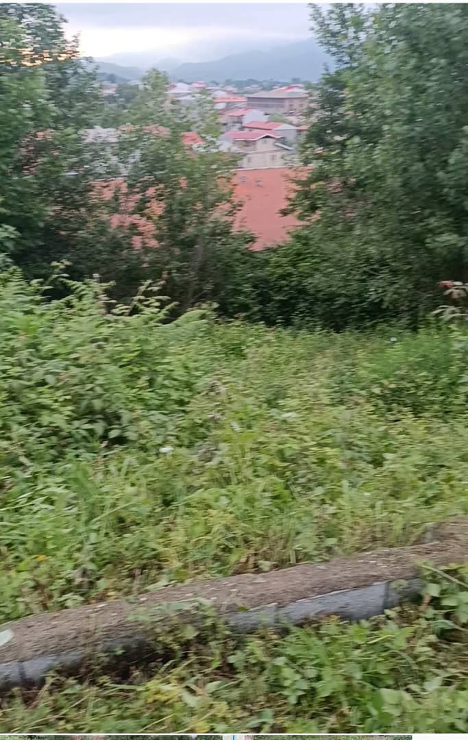 تصویر املاک 1800