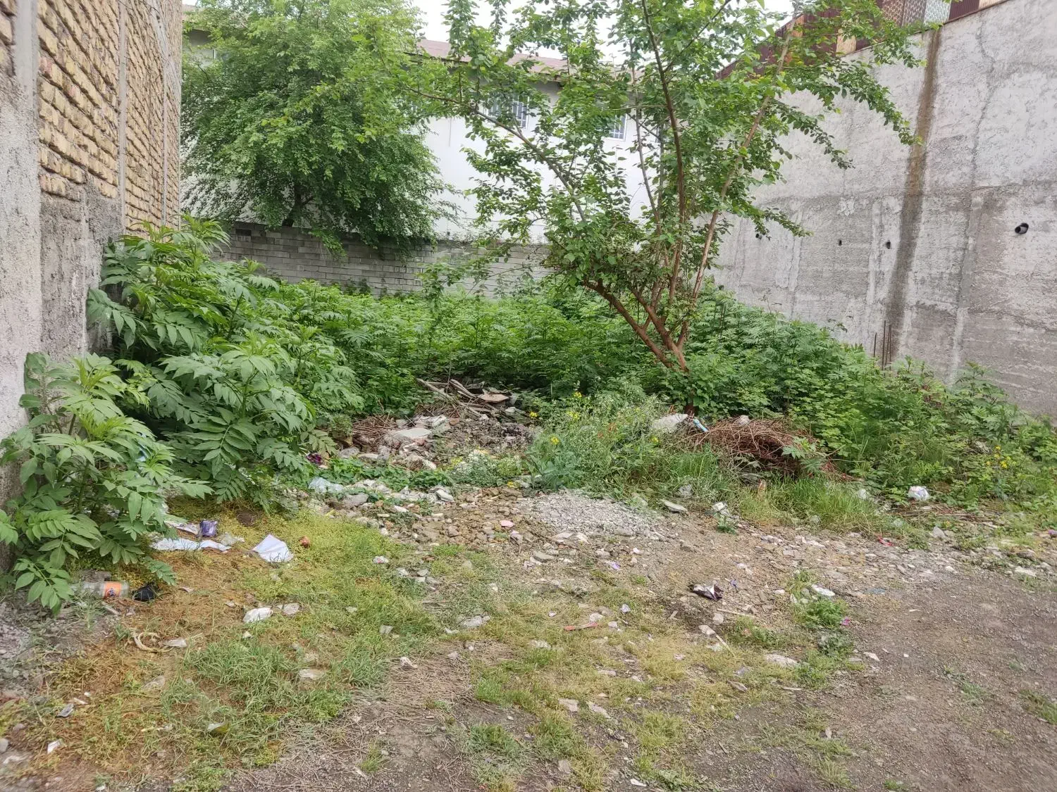 تصویر املاک 10052