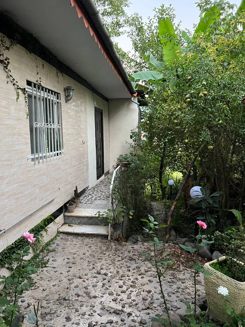 تصویر املاک 64025